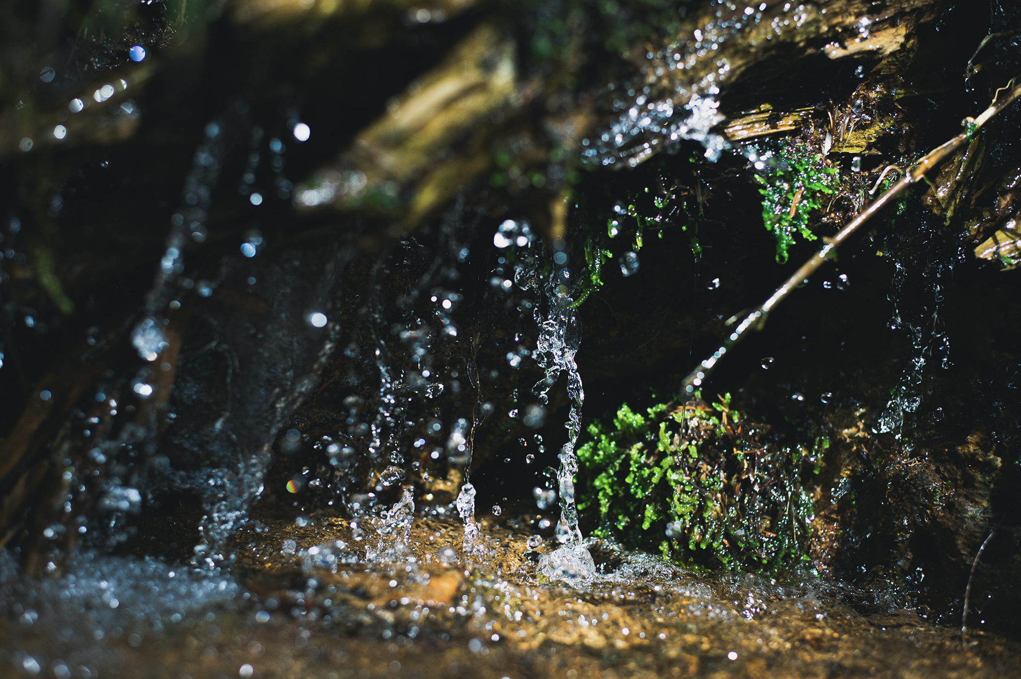 あの水がこの酒に